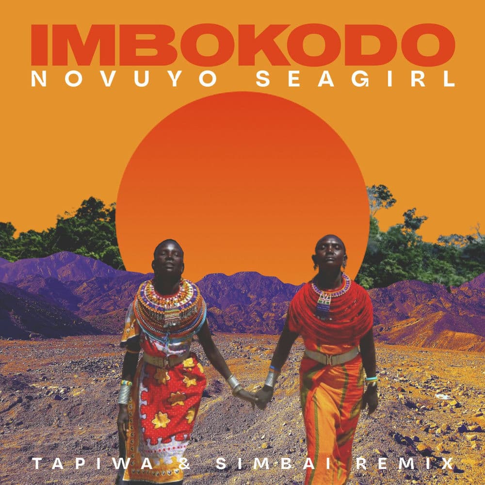 Cover of Imbokodo (TAPIWA & Simbai Remix)