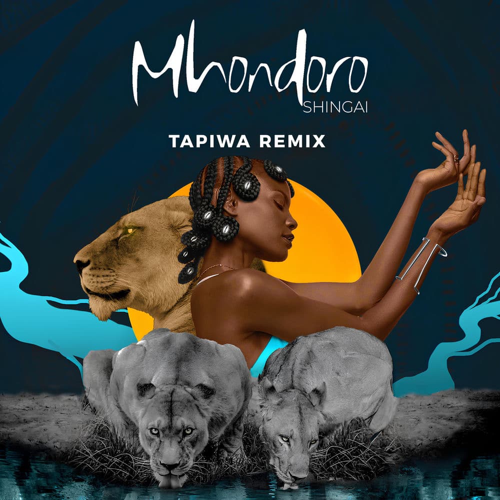 Cover of Mhondoro (TAPIWA Remix)